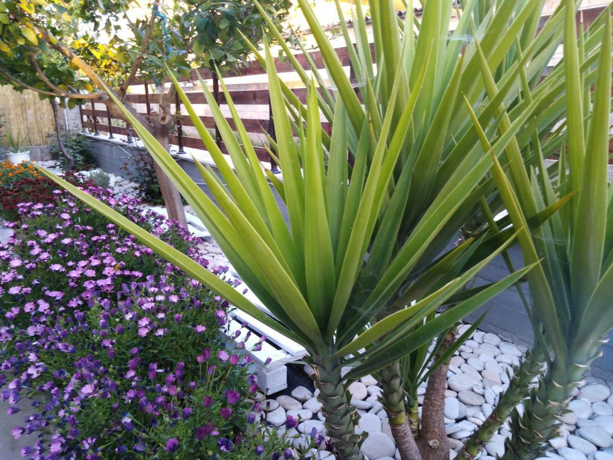 Sofia'S Garden Apartment Limenaria  Exterior photo